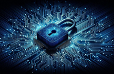 Rajsri Computers - About Us